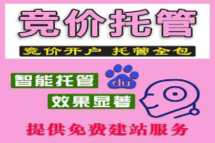 专业SEM托管服务，案例剖析行业应用
