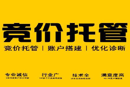 百度竞价策略：实战案例分析