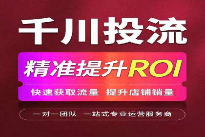 案例研究：关键词推广费用与ROI的关系